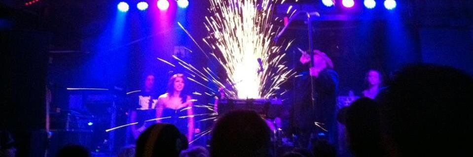 Venus In Furs banner