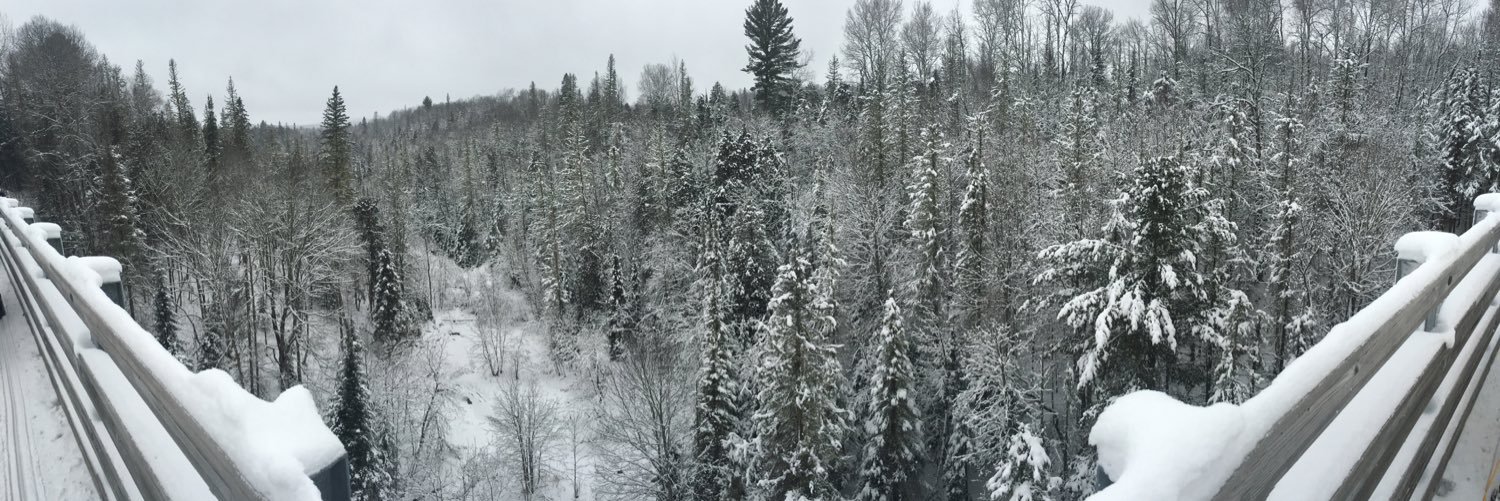 DReivitis's profile banner image