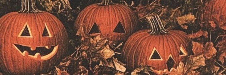 mariesalerno's profile banner image
