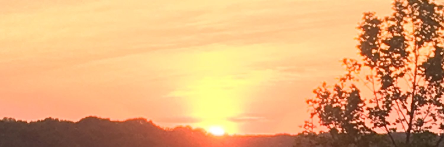 Fequalszero's profile banner image