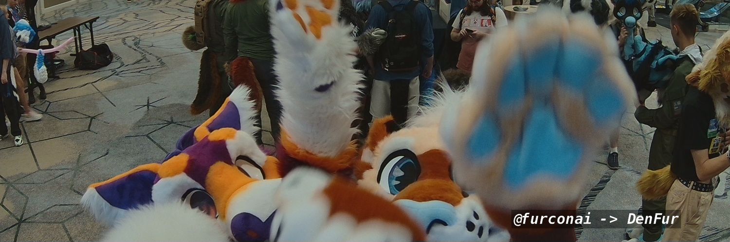 Kippy banner