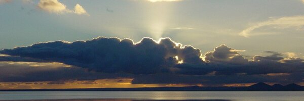 Blubalus Profile Banner