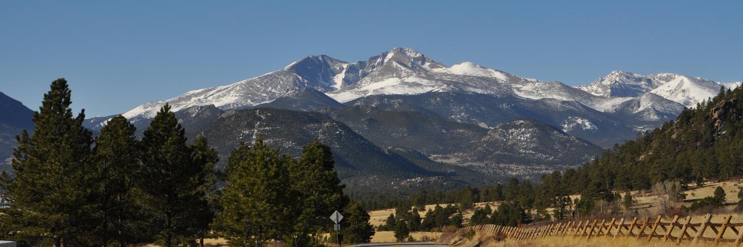 Erika Jolly Brookes banner