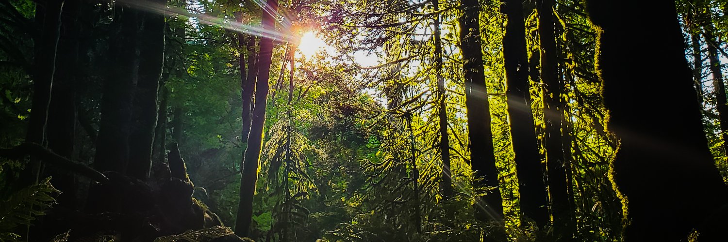 1ovepnw's profile banner image