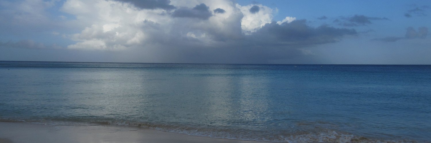 SteveBest1's profile banner image