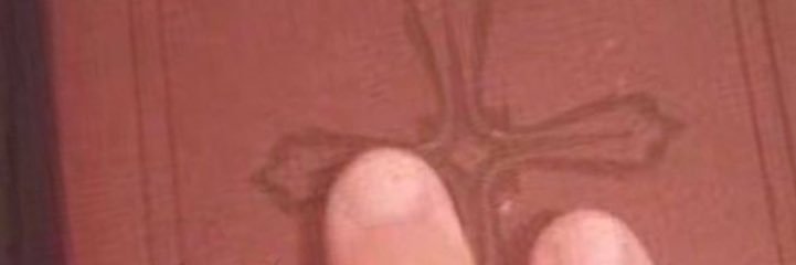 Starrytay's profile banner image