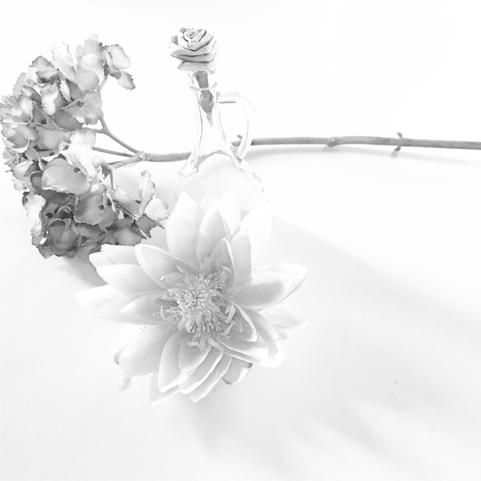 SabrinaPuma's profile banner image