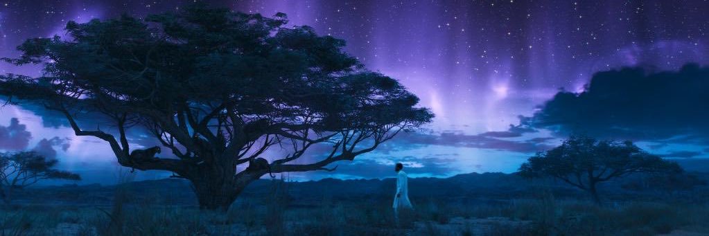 Kyle_Meadows's profile banner image