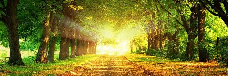 ReenaBarthwal's profile banner image
