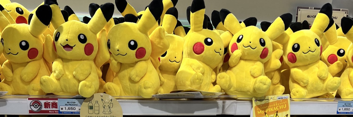 Gina Wilkolak banner