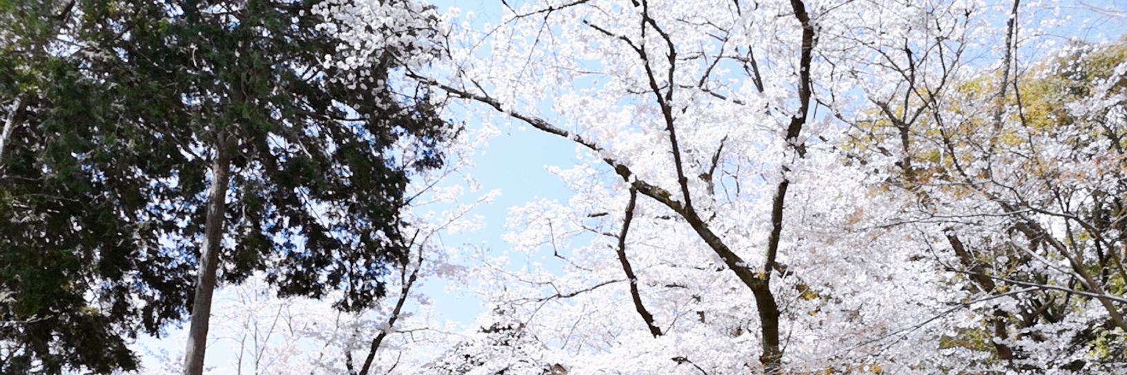 no_dateuser's profile banner image