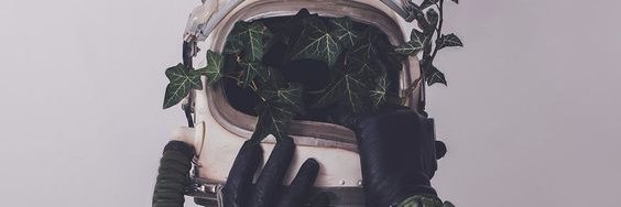 palvlan's profile banner image