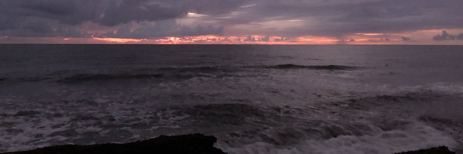 ropuritto's profile banner image