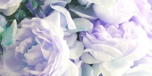 Bintaaa's profile banner image