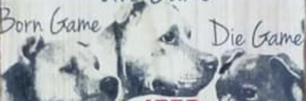 50calb's profile banner image