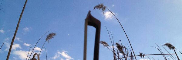 lpnotes Profile Banner