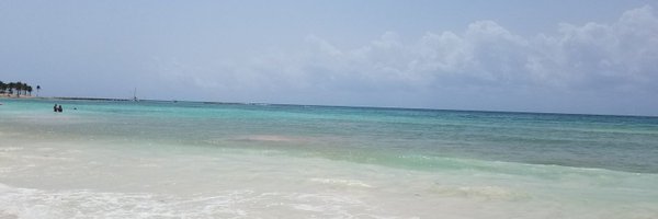 drtodor Profile Banner