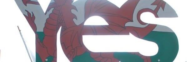 Adam o Gymru fach banner