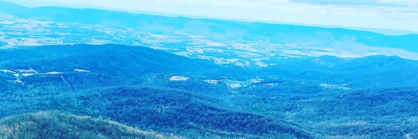 TinaMetzer Profile Banner