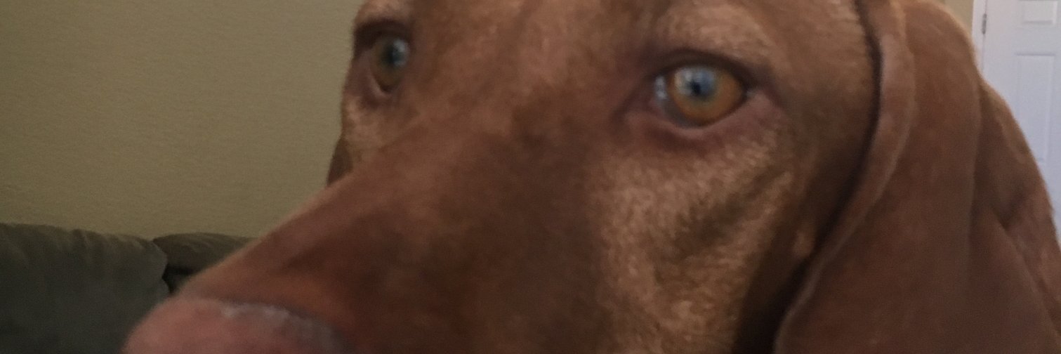 barrett18k's profile banner image
