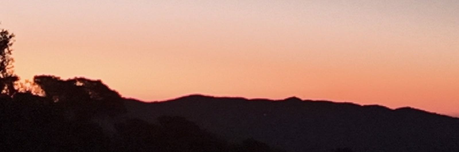 🐾 ZUT&Sergi 🐾 banner