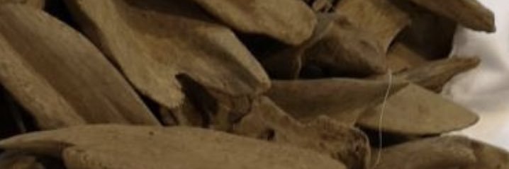 0800hadi's profile banner image