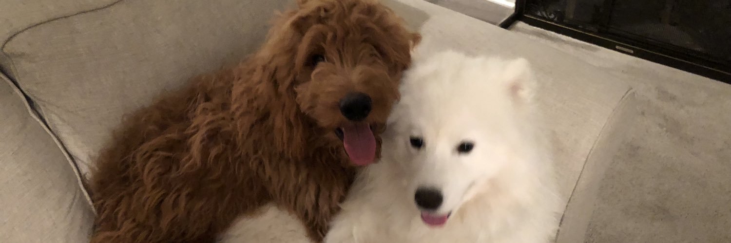 laurenmazor's profile banner image