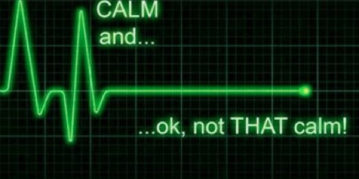 🌲 Lovetrees 🌲🦝🌲🐻🌲😷 banner