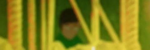 forever_a_fox's profile banner image