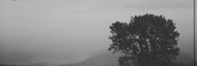 DanceMomConfess's profile banner image