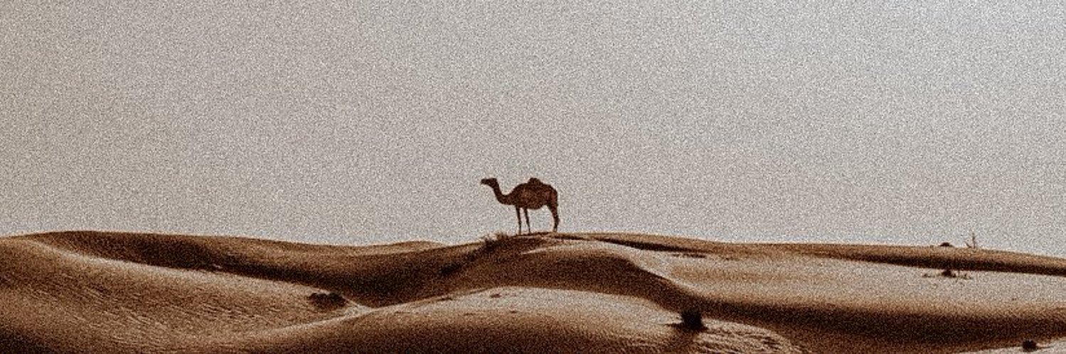b_roqi's profile banner image