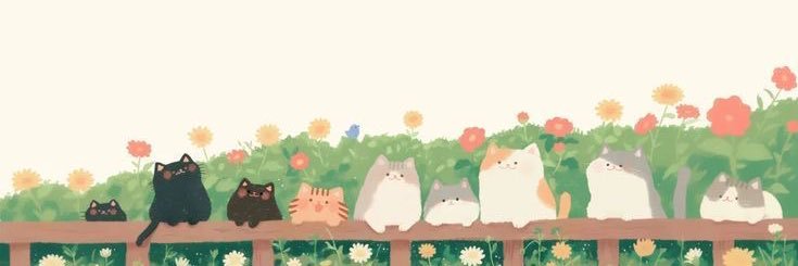 bonheurxtt's profile banner image