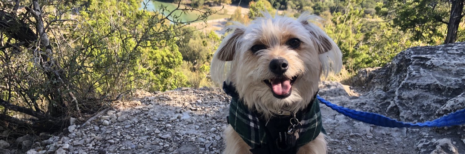 GermanR89's profile banner image