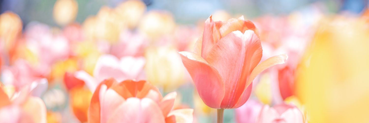 Raq_LoveSweets's profile banner image