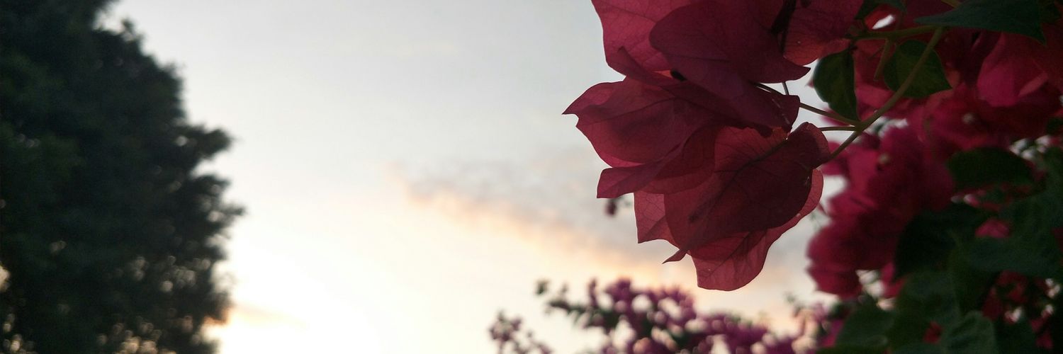 NamChanittha's profile banner image