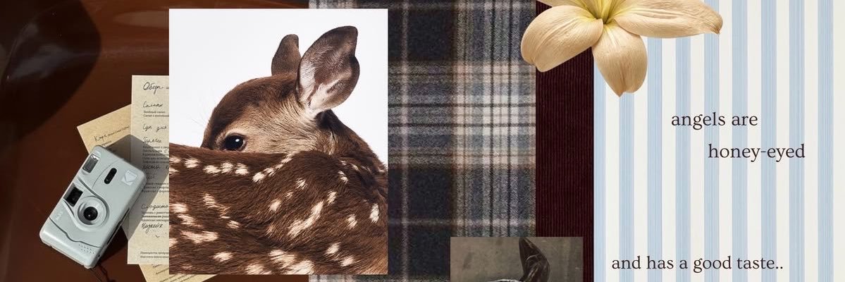 fsunjm's profile banner image