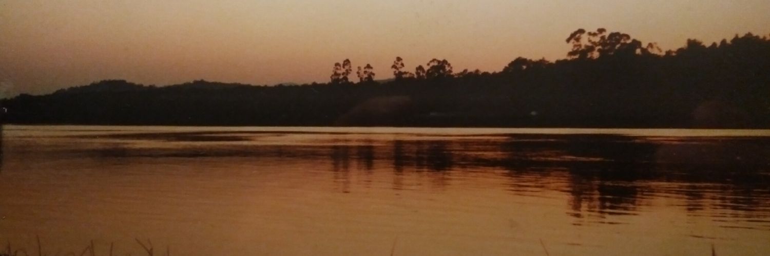 luiscesarlima's profile banner image