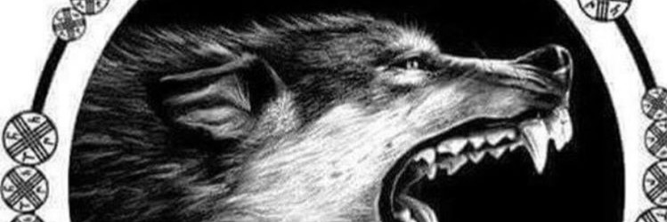 RealTurkGangsta's profile banner image