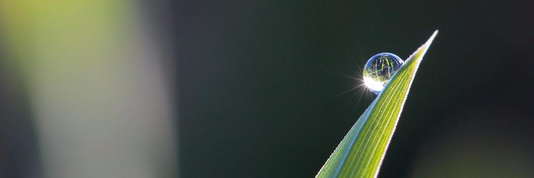 dnonduality's profile banner image