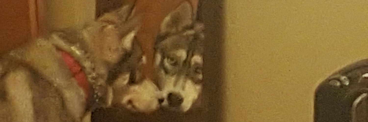 sgTiffaney's profile banner image