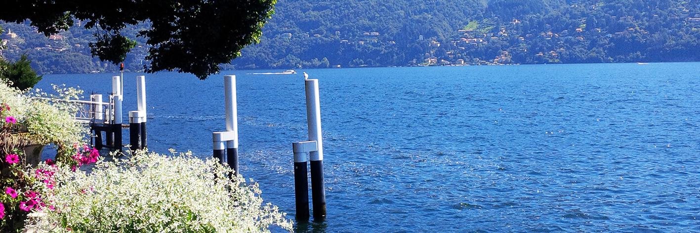 antonella corengia banner