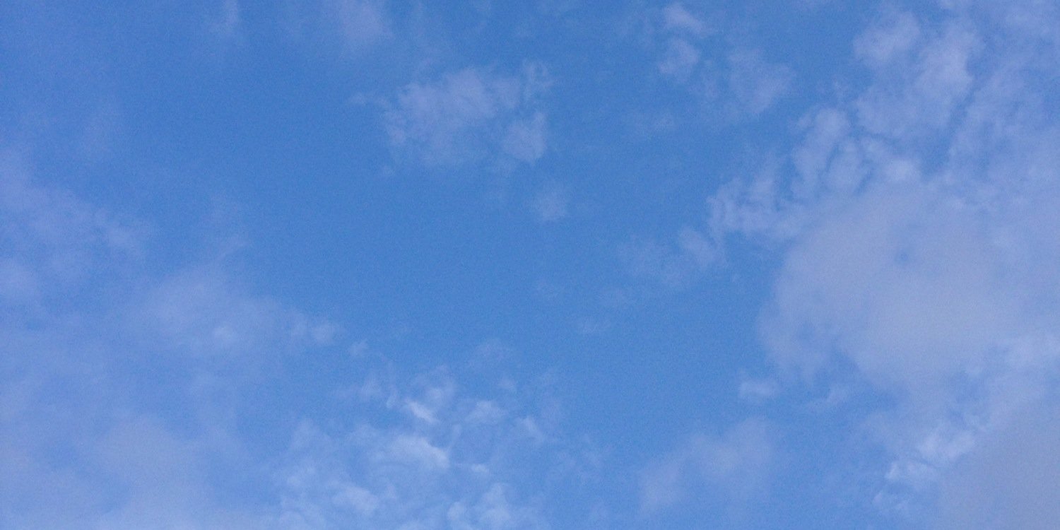 _3979708632122's profile banner image
