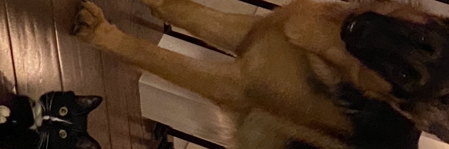 GodofRome313's profile banner image