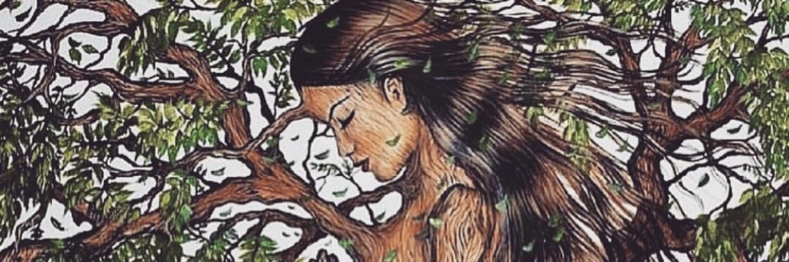 Jeni9 banner