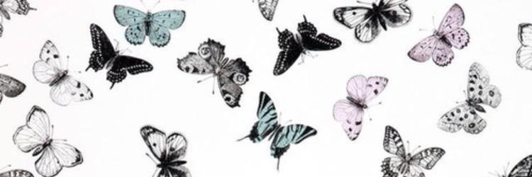 fridairenec's profile banner image