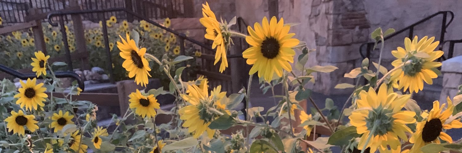 bbanannie_'s profile banner image