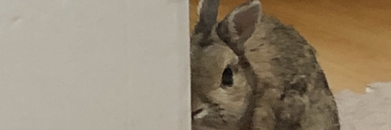 kapparoju's profile banner image