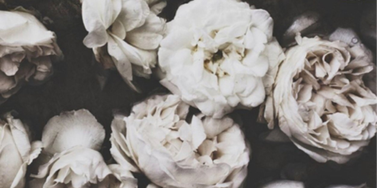 yoookay's profile banner image