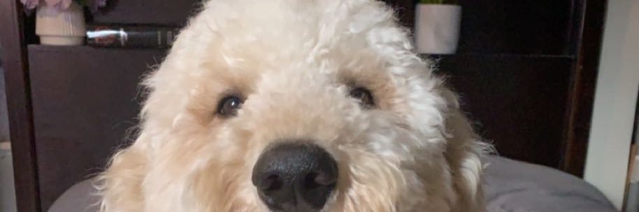 faby_Cam11's profile banner image