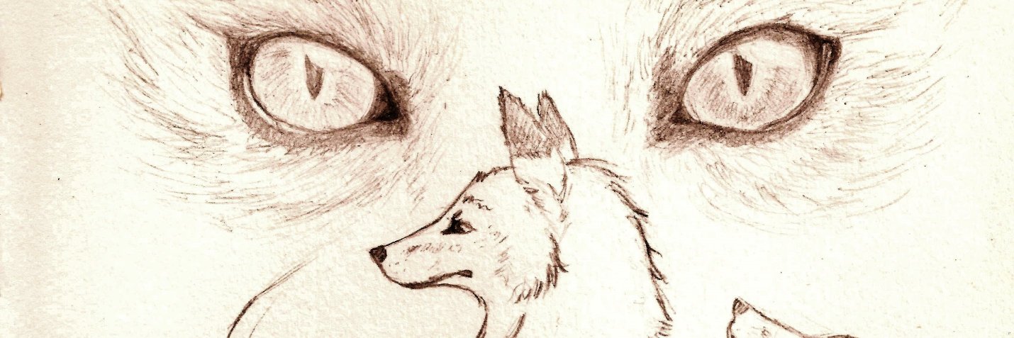 MacklinHelen's profile banner image